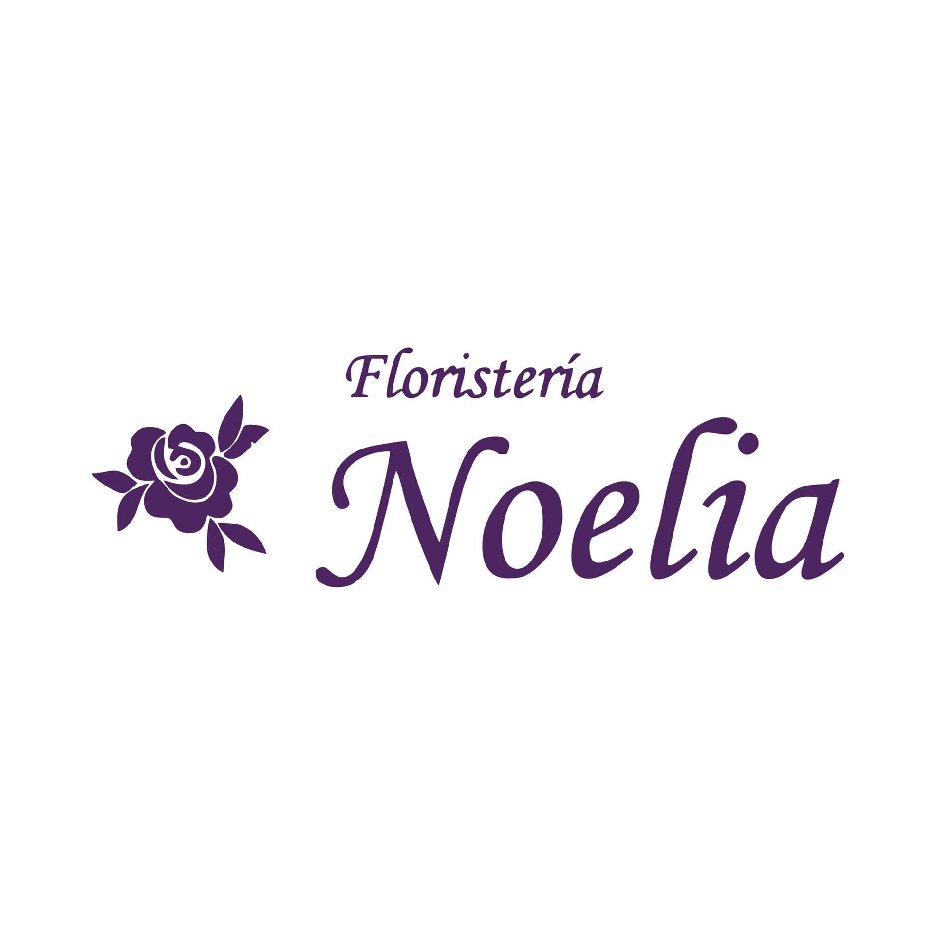 Floristeria Noelia Floristeria Noelia